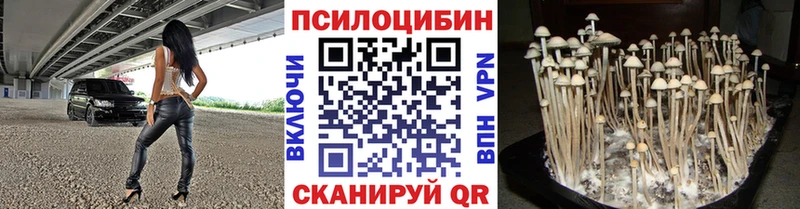 darknet формула  дарнет шоп  блэк спрут ссылка  Сухой Лог  Псилоцибиновые грибы мицелий 