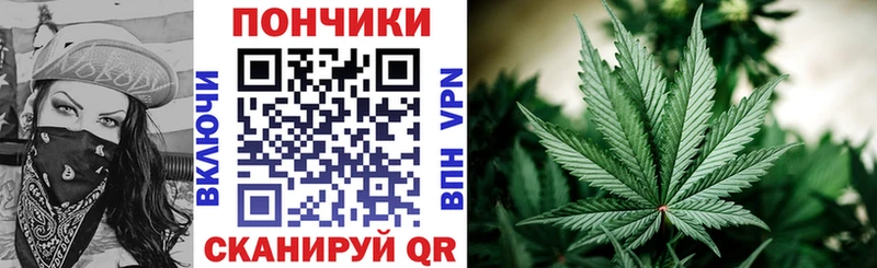 где купить наркоту  Сухой Лог  darknet официальный сайт  Бошки Шишки семена 